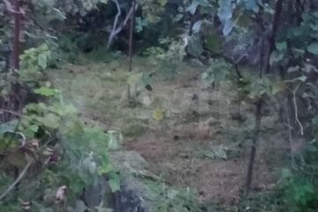 Ведение садоводства, 5 сот.